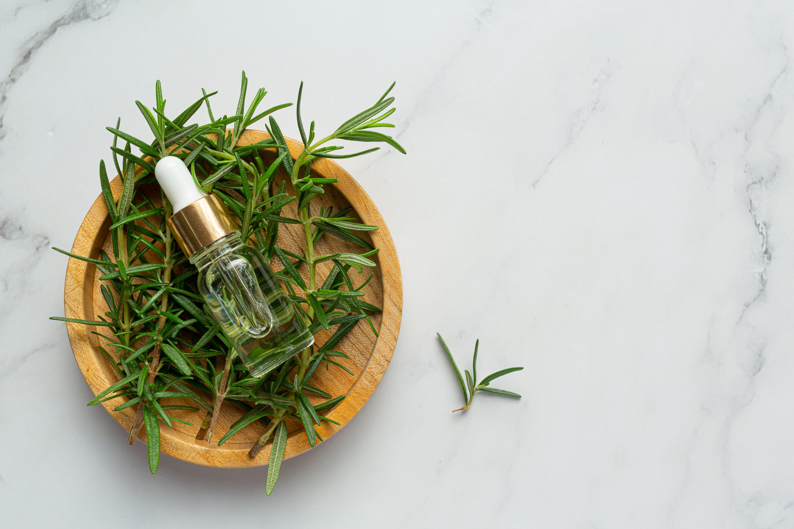 Rosemary Oil: Nature’s Remedy for Stress, Sleep, and Focus